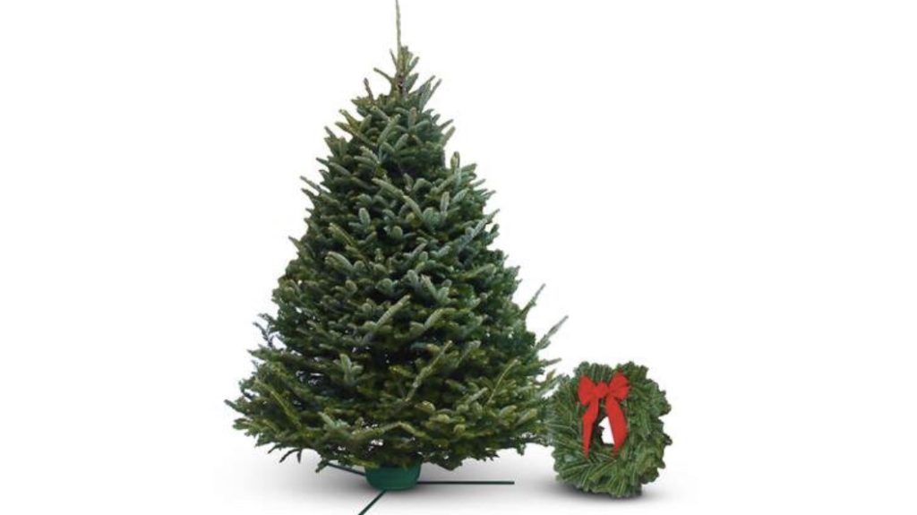 real Christmas trees for sale near me Archives * Angela J Worachek The